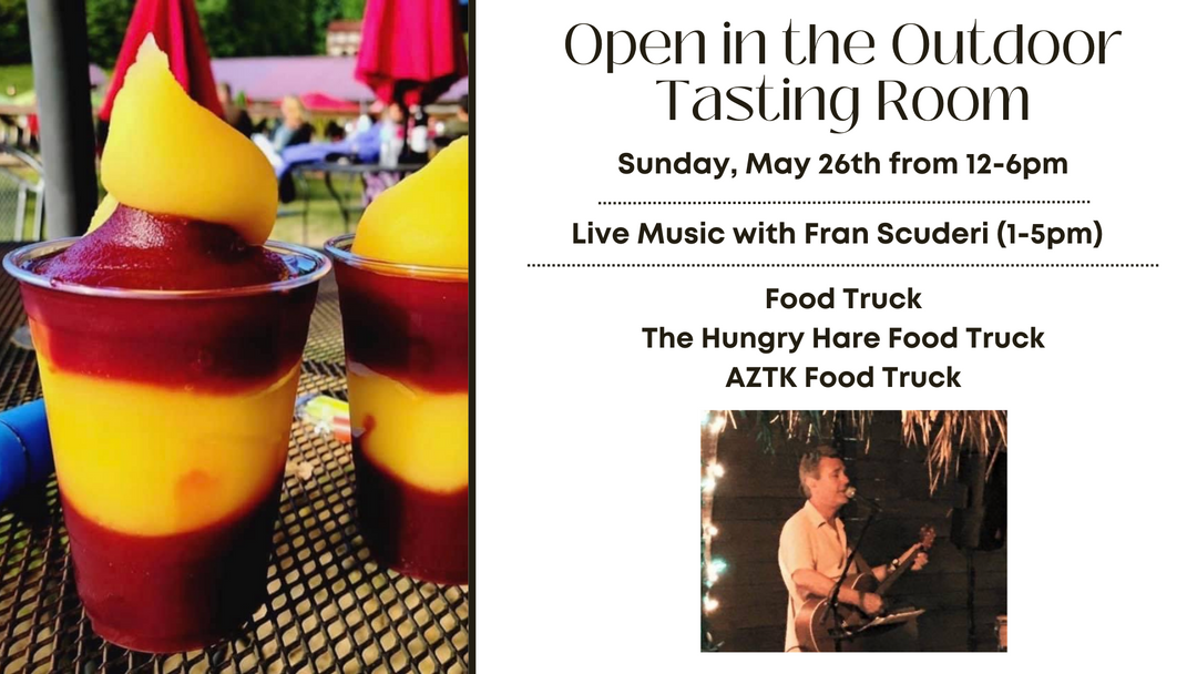 Sunday at the Vineyard and Live Music by Fran Scuderi on Sunday, May 26th