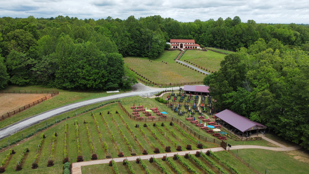Saturday at the Vineyard and Biergarten on May 10th from 12-9pm!