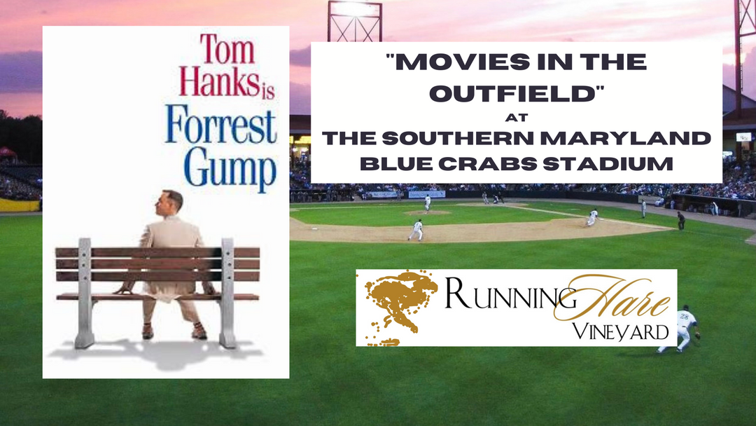 Movies in the Outfield at the Southern Maryland Blue Crabs Stadium on September 4th- Forrest Gump