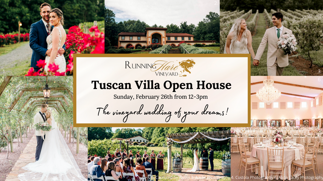 Tuscan Villa Open House on Sunday, February 26th from 12:00-3:00pm
