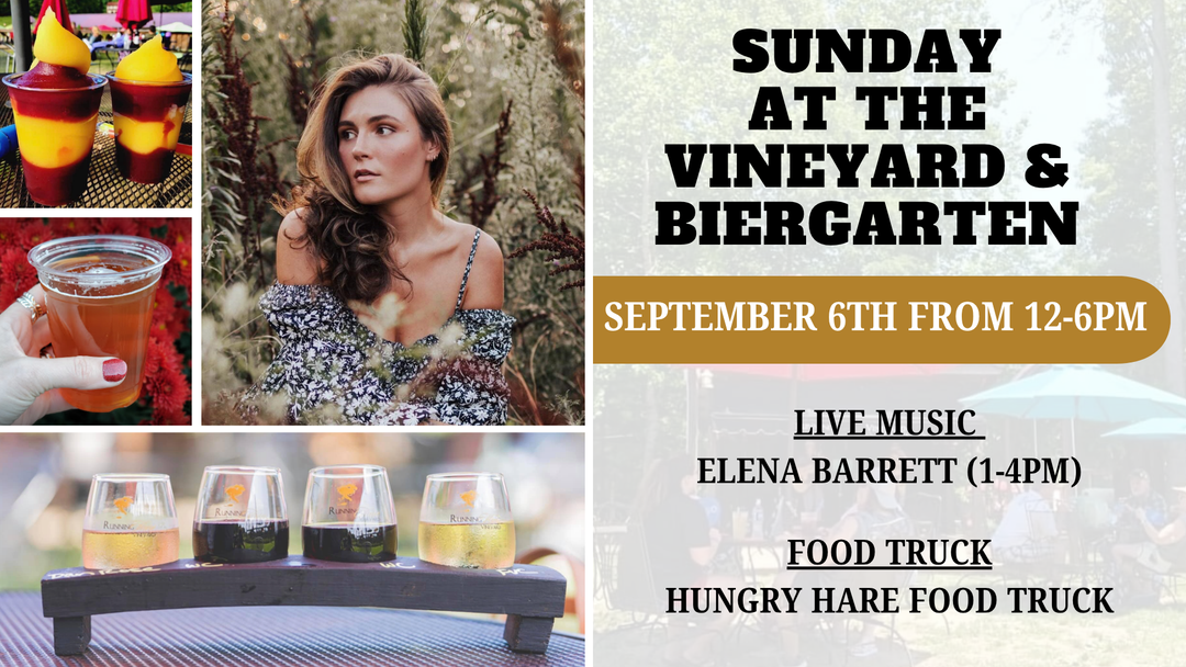 Sunday at the Vineyard and Biergarten on September 6th from 12-6pm!