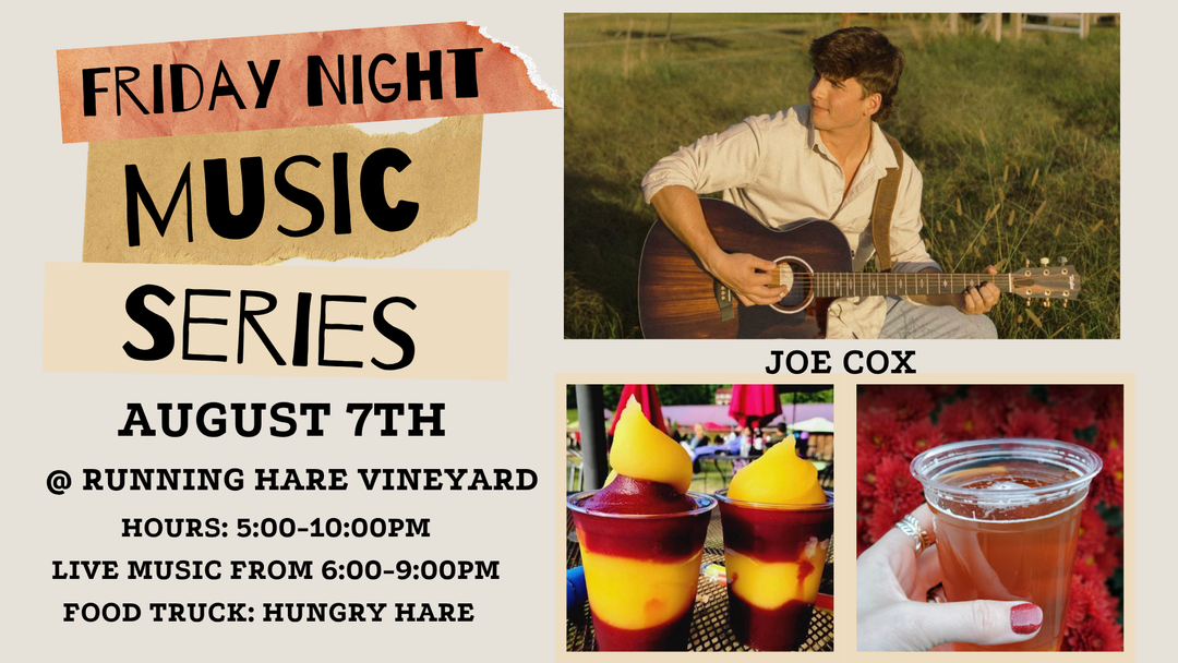 Friday Night Music Series Featuring Joe Cox on August 7th!