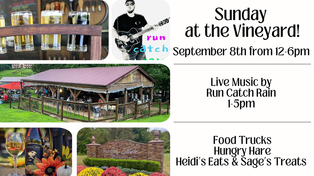 Live Music with Run Catch Rain on Sunday, September 8th
